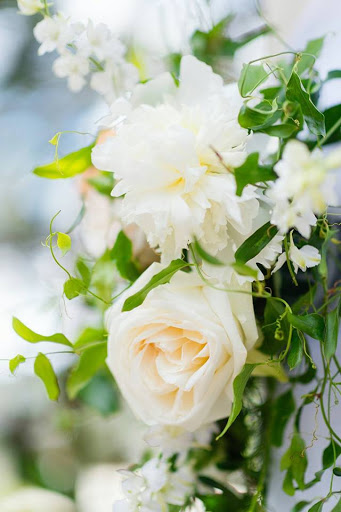 Florist «Plum Sage Flowers», reviews and photos, 2323 W 30th Ave #1, Denver, CO 80211, USA