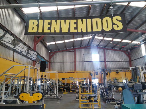 Gorilas Gym Fitness, Segunda 205, Chapultepec, 22785 Ensenada, B.C., México, Gimnasio | BC
