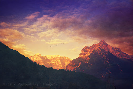 posted image