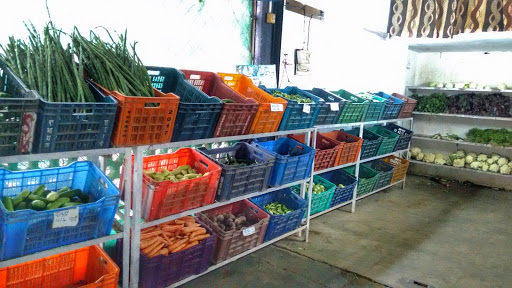 Shetkari Bhandar - Farmer To Consumer Shop, Plot no.12, Nilgiri Apartment, Jaitala Road, Shastri Layout, Nagpur, Maharashtra 440025, India, Fruit_and_Vegetable_Shop, state MH