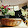 Christopher Burch Christopher Burch's profile photo