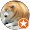 최권우