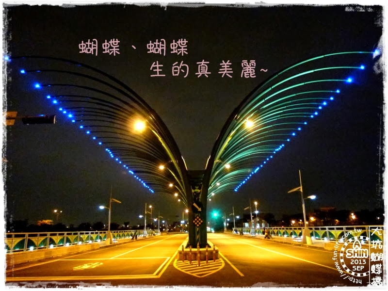 大坑蝴蝶橋~夜晚空中的華麗飛舞，想看要來對時間