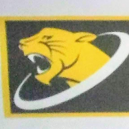 Jaguar Fitness logo
