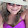 Asha Sooknanan Asha Sooknanan's profile photo