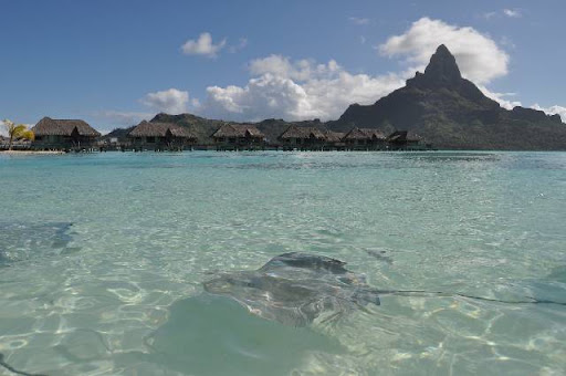 20 DE JUNIO DE 2011. DISFRUTANDO EL OVERWATER DE BORA BORA - HONEYMOON EN POLINESIA FRANCESA (2)
