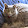 Melanie Beach Melanie Beach's profile photo
