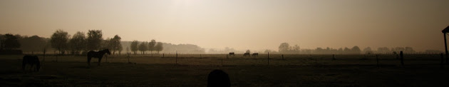 Cover photo