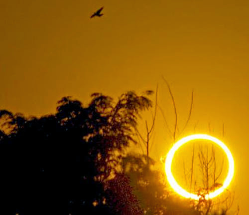 Annular Solar Eclipse In Taurus Sedna Vulcan And Aphrodite Show Their Power