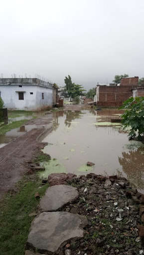 Shri Ram Marriage Garden, C.O.D. Colony, Suhagi, Jabalpur, Madhya Pradesh 482004, India, Park_and_Garden, state MP