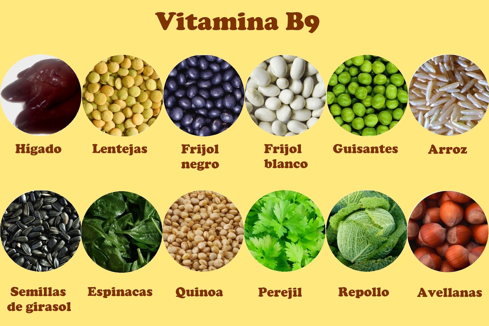 Alimentos-ricos-en-Vitamina-B9.jpg