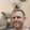 Jason Arnold Jason Arnold's profile photo