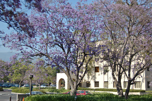 California Institute of Technology