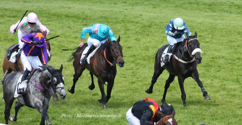 Photos Auteuil 8-06-2014  - Page 2 IMG_1908
