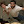 Juan Gonzalez Juan Gonzalez's profile photo