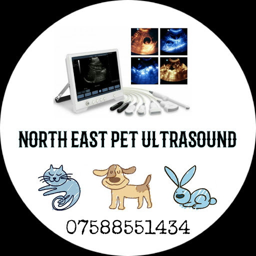 North East Pet Ultrasound