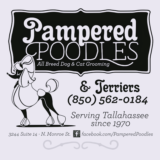 Pampered Poodles & Terriers