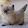 Theloric Devlin Theloric Devlin's profile photo