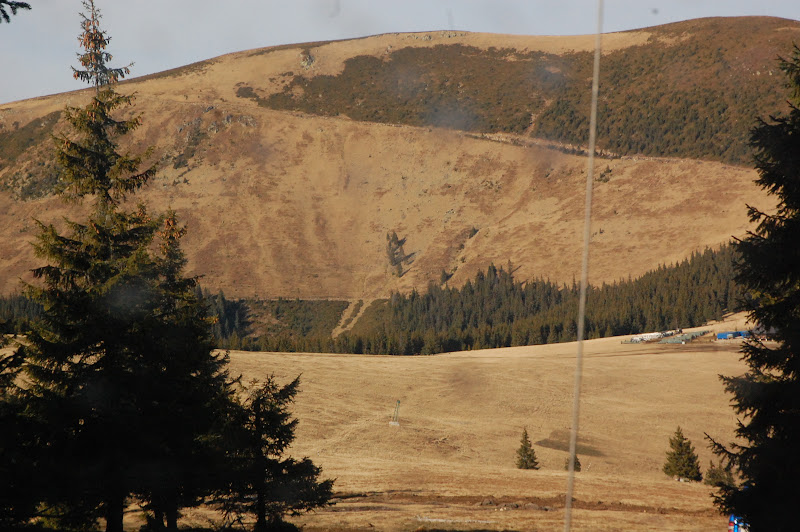 DSC_0597.JPG