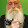 ALEJO JESUS CARTAGENA ALEJO JESUS CARTAGENA's profile photo