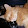 darkk tur darkk tur's profile photo