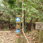 Track markers (226573)