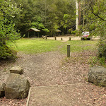 Looking at Boarding House Dam Picnic area near Watagans Forest road in the Watagans (322490)