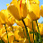 Ford Block avatar image