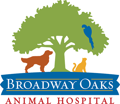 Broadway Oaks Animal Hospital logo