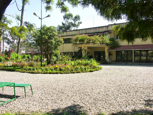 The British School