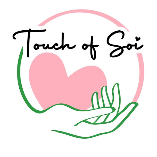 Touch of Soi LLC logo