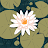 Curlies Beauties avatar image