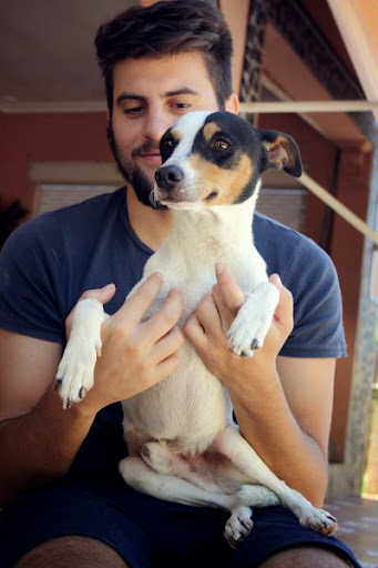 *ADOPTADO* PANCHO, bodeguero, macho, t.pequeño. Sevilla (se envia) Pancho-b5