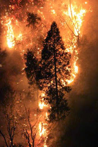The Yosemite Wildfires And Energy Supply