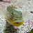 Audrey Teo avatar image