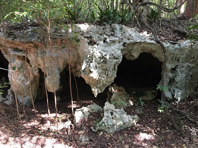Photos of Cueva de Ambrosio