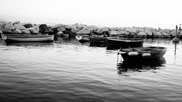Cover photo
