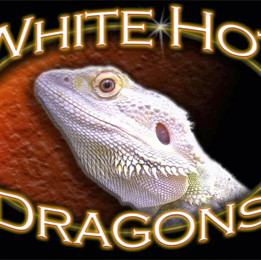 White Hot Dragons logo