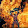 Gerank Fok Gerank Fok's profile photo