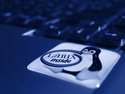 Linux Kernel 3.8.4