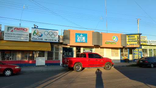 SkyLine Agencia De Viajes, 33070, Av. 10a. Sur 817, La Llave de Oro, Delicias, Chih., México, Servicios de viajes | CHIH