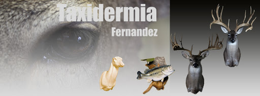 Taxidermia Fernandez, 66400, Porfirio Díaz 602, Centro, San Nicolás de los Garza, N.L., México, Taxidermista | NL