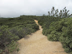 Chaparral Loop Trail