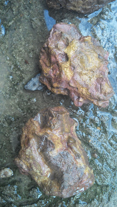 pedras para aquario IMG_20140501_160639_874