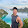 Aaron Moy Aaron Moy's profile photo