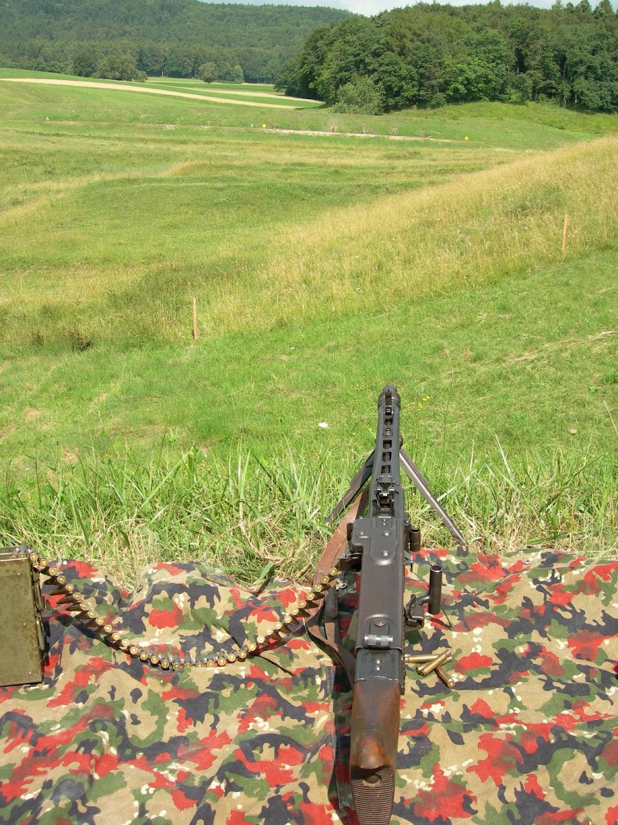 MG 42 DSCN2260r