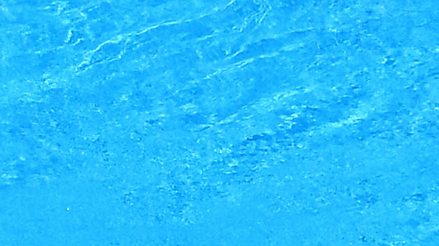 Cover photo