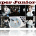 Kpop: Super Junior M - Perfection