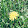 Mckaylee Pickett Mckaylee Pickett's profile photo
