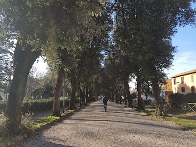 Photos of Lawn Garden - public park